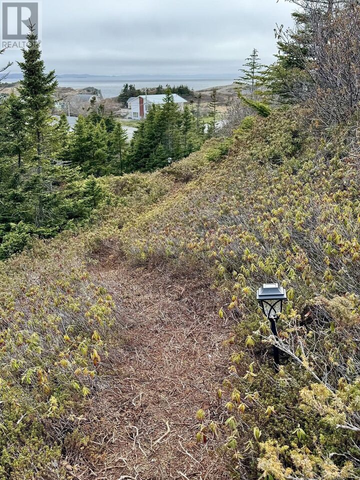 Property Photo:  30-40 Main Street  NL A0G 4M0 