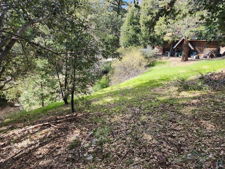 Property Photo:  0 Running Springs Lane  CA 92325 