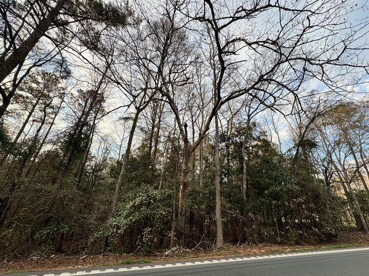 Property Photo: 0 Ga Highway 0116 GA 31811