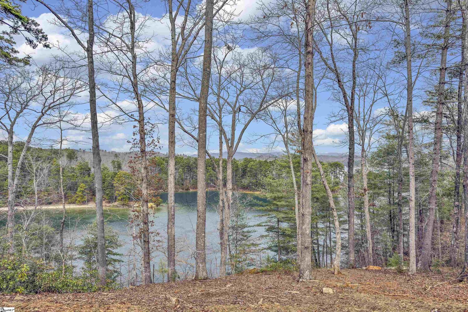 Property Photo:  731 Barberry Court  SC 29676 