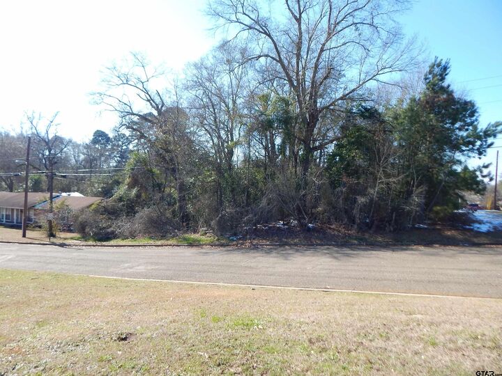 Property Photo:  Tbd Lot 3 Skyview Dr  TX 75644 