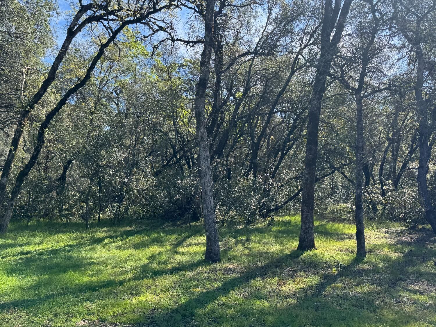 Property Photo: 1001 Old Airport Road CA 95603