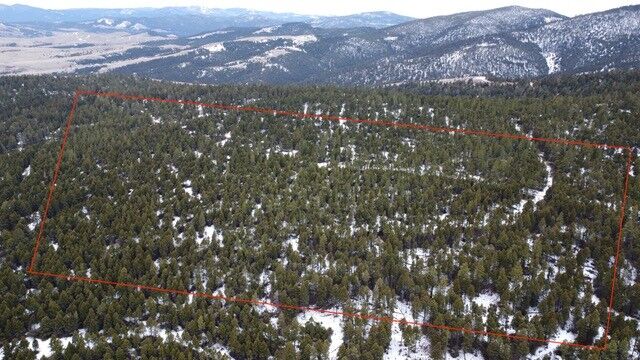 Property Photo: Tbd Turk Road MT 59602