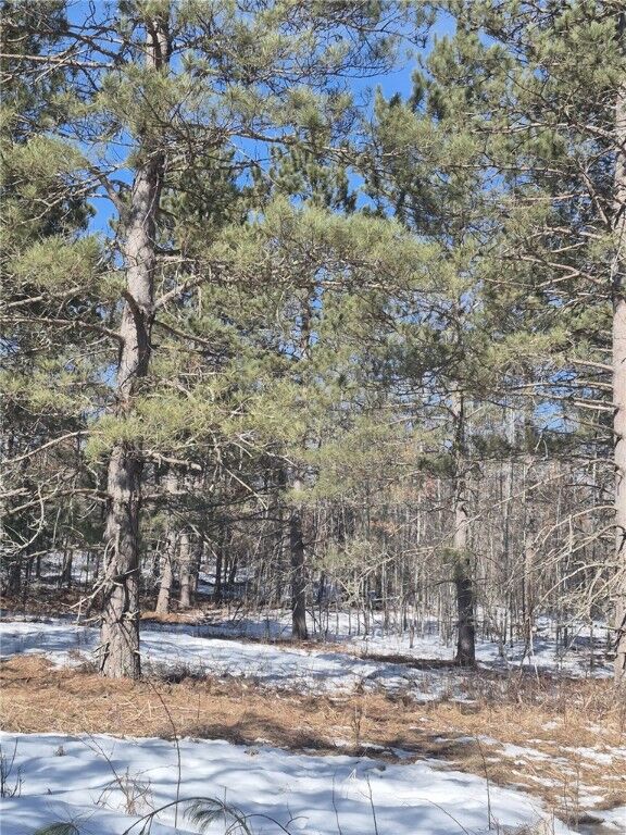 Property Photo: Lots 11 & 12 Skylight Road WI 54830