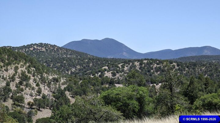 Property Photo:  3xx Old Telegraph Ridge Road  NM 88061 