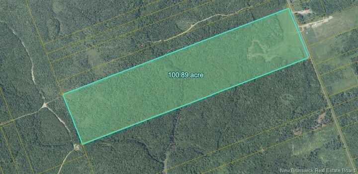 Property Photo: Lot Chem. Lavigne Road NB E8P 1M8