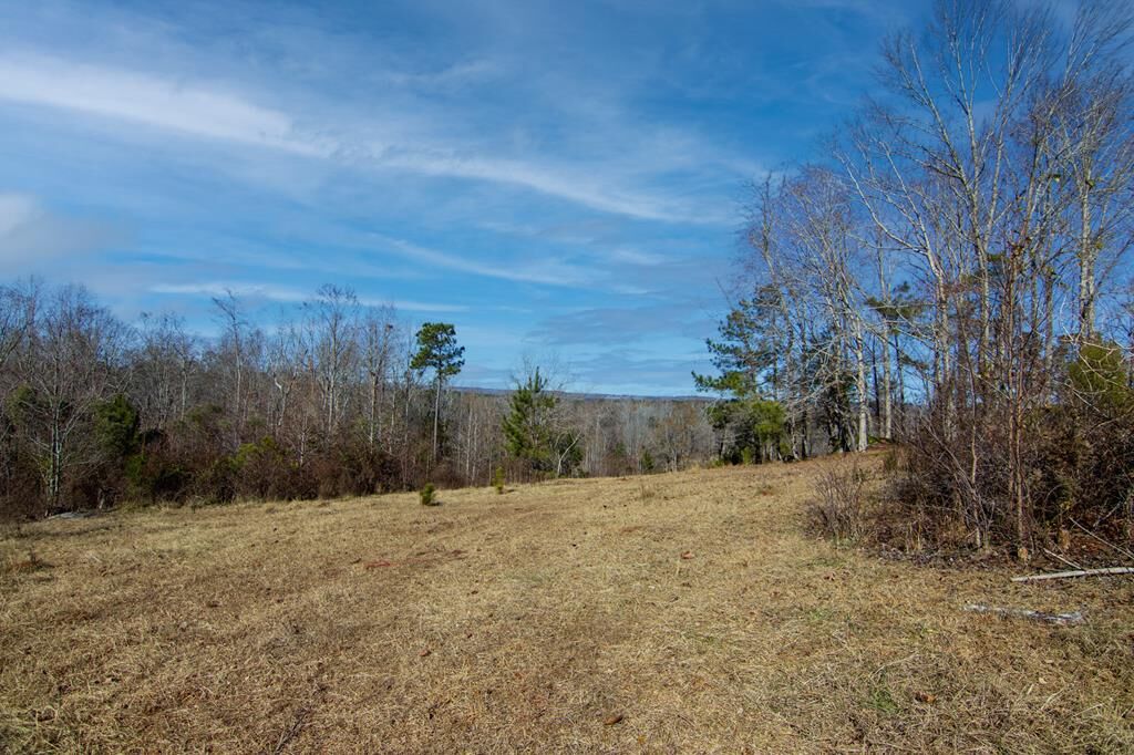 Property Photo:  Tract 6 - 0 Chestnut Grove Road  GA 31826 