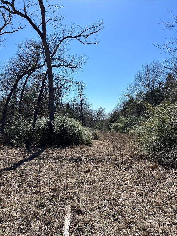 Property Photo:  Lot 31 Cr 389  TX 75846 