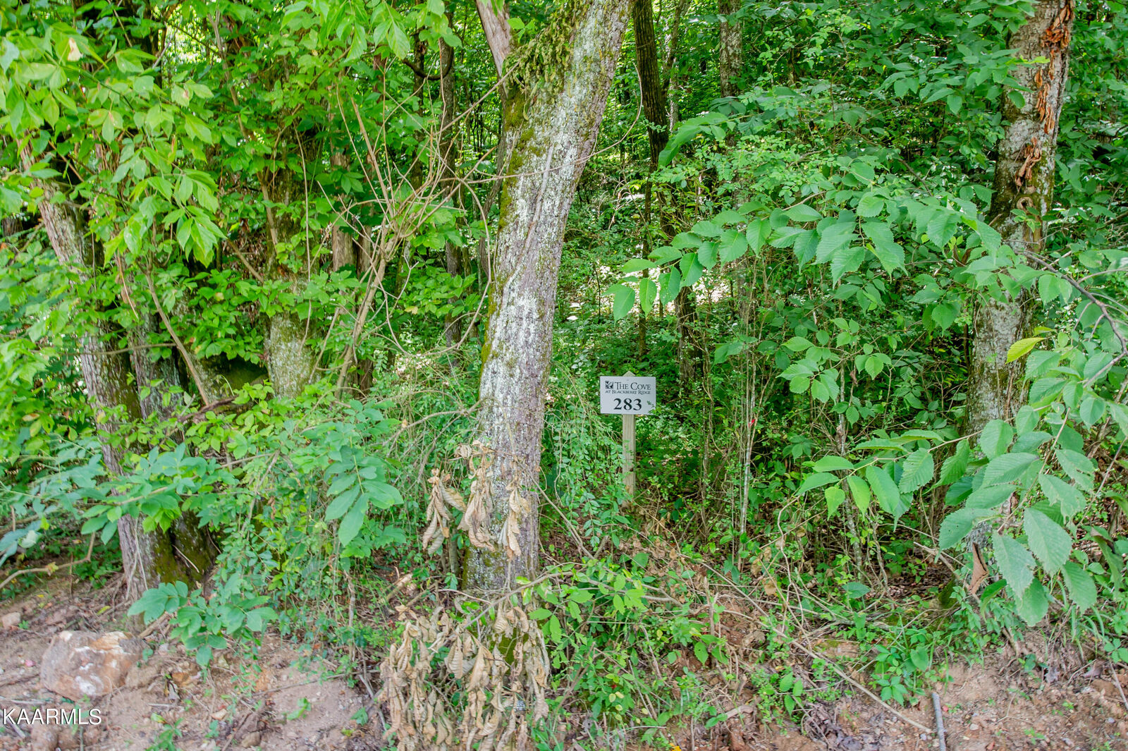 Property Photo:  4485 Huffine Rd  TN 37774 