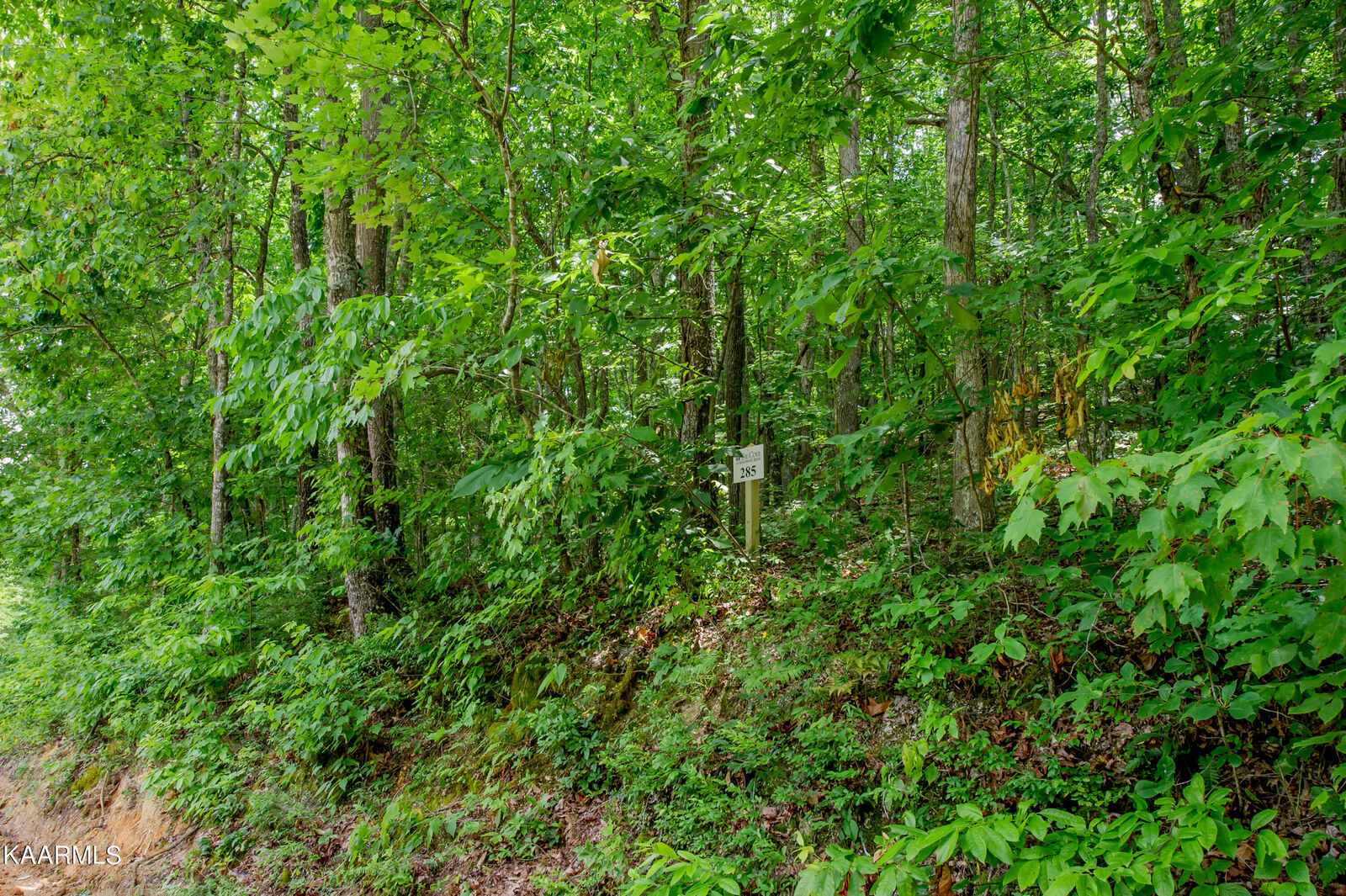 Property Photo:  4521 Huffine Rd  TN 37774 