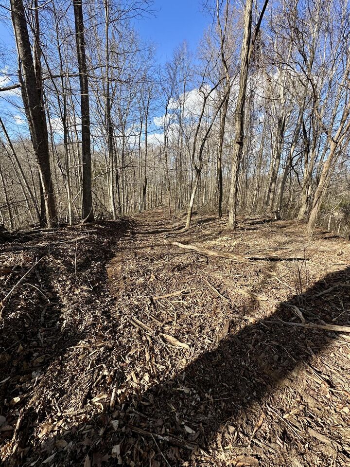 Property Photo: 6 Malone Ridge Road 6 KY 42602