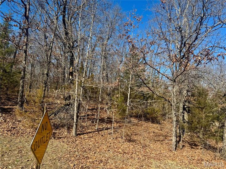 Property Photo:  000 Plaza Lane  MO 65536 