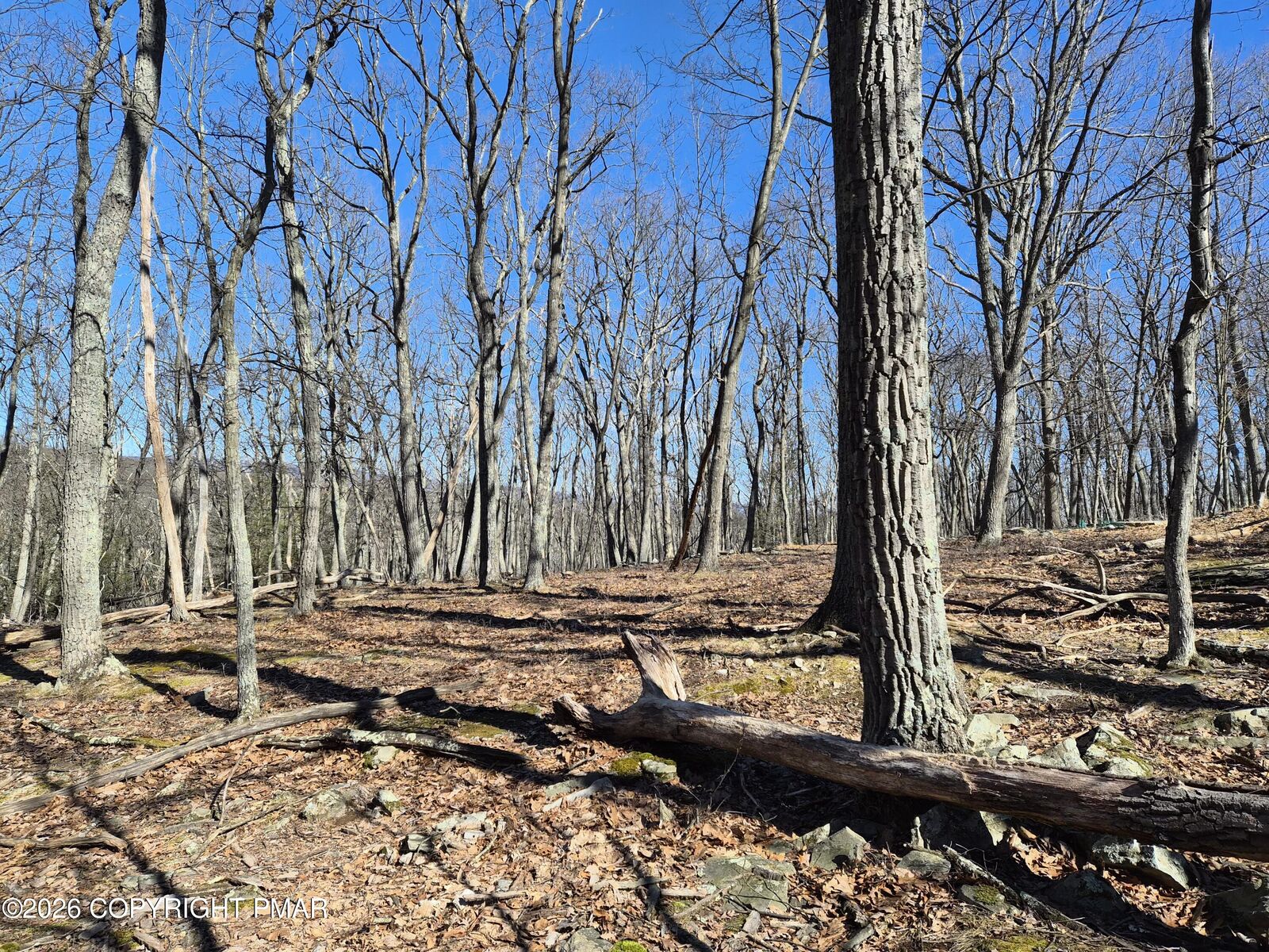 Property Photo:  Sunlight Dr 11  PA 18332 