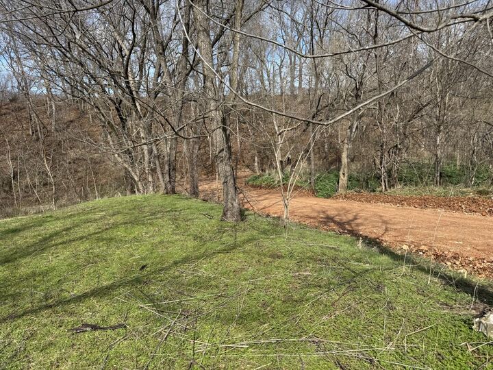 Property Photo:  421 Farm Road 2160  MO 65647 