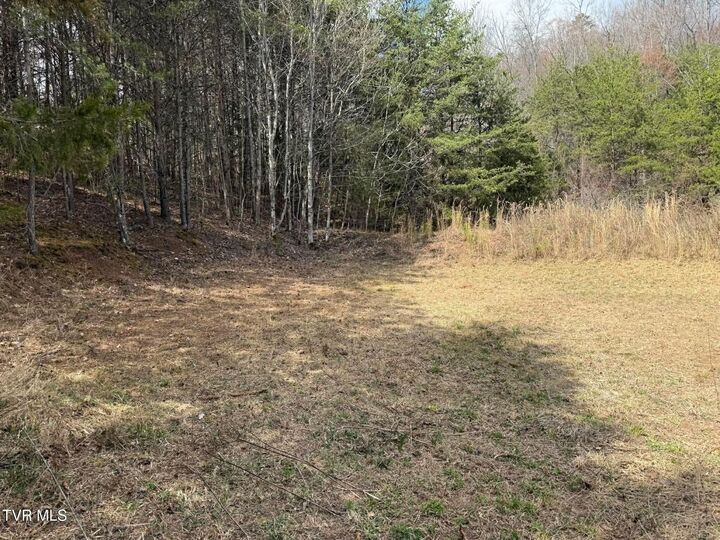 Property Photo:  0 Dyer Hollow Road  TN 37745 