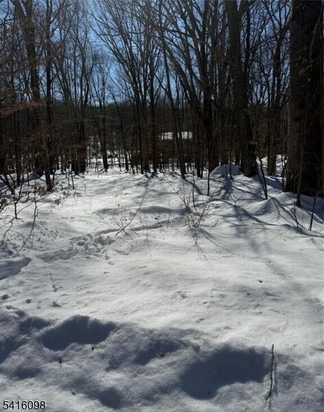 Property Photo:  15 Saw Mill Rd  NJ 07405 