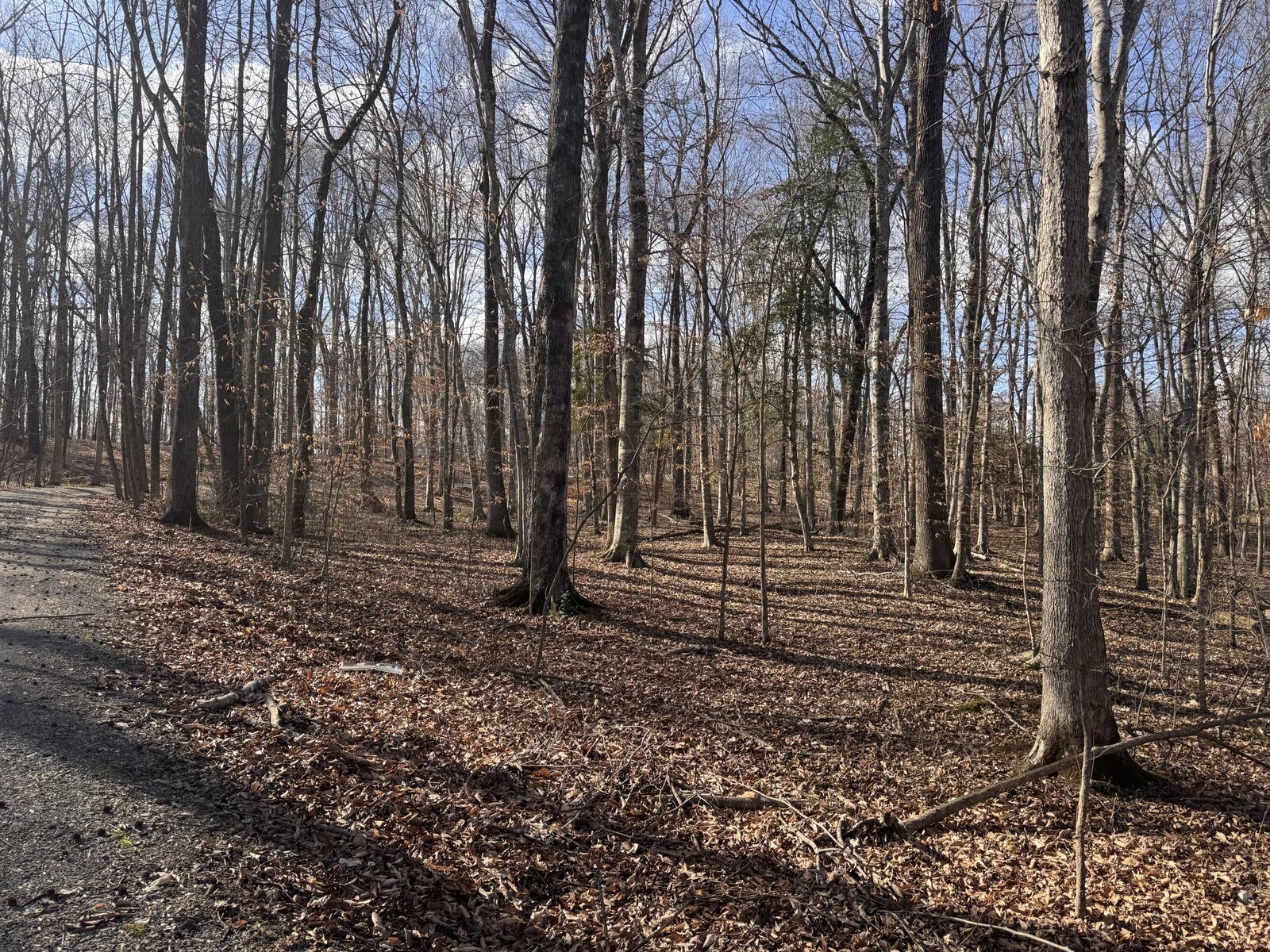 Property Photo: 26 Arrowhead Lane KY 42629
