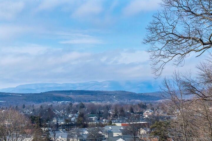 Property Photo:  101 Florence Street  NY 12401 