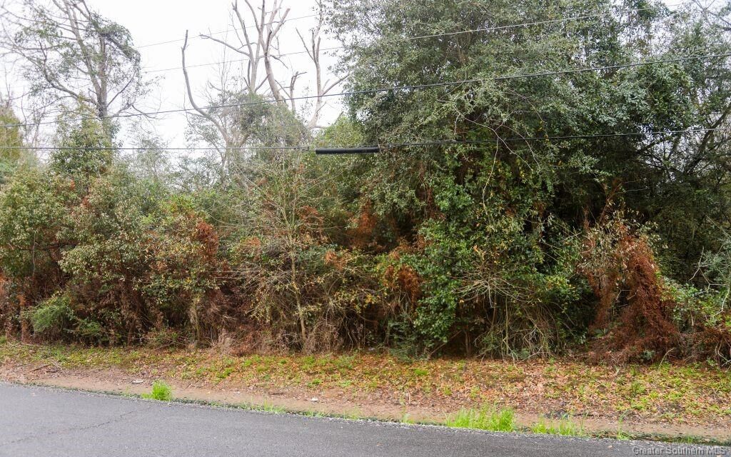 Property Photo: 0 W Hebert Road W LA 70607