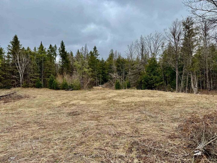 Photo de la propriété:  885 Cleveland Road  ON K0K 1Y0 