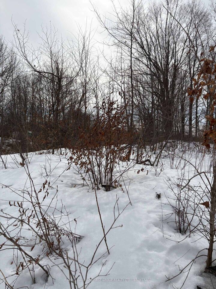 Property Photo:  Lot 0 County Road 38 N/A  ON K0H 2P0 