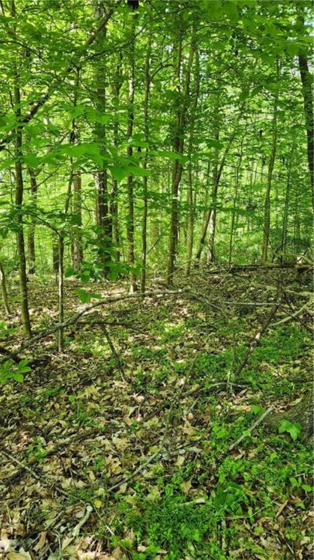 Property Photo:  1125 Cambridge Extension Street  SC 29620 