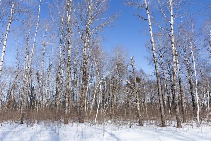 Photo de la propriété:  37 Jackpine Crescent  MB R0A 2N0 