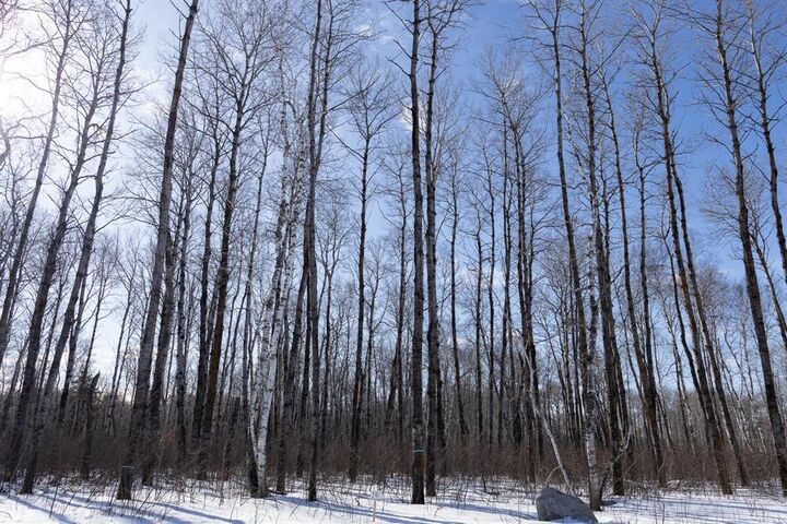 Photo de la propriété:  14 Jackpine Crescent  MB R0A 2N0 