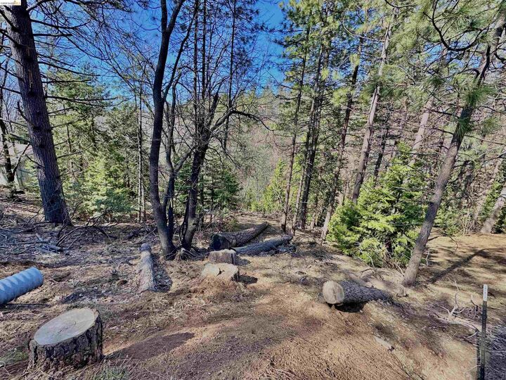 Property Photo:  23956 Stable Rd  CA 95370 