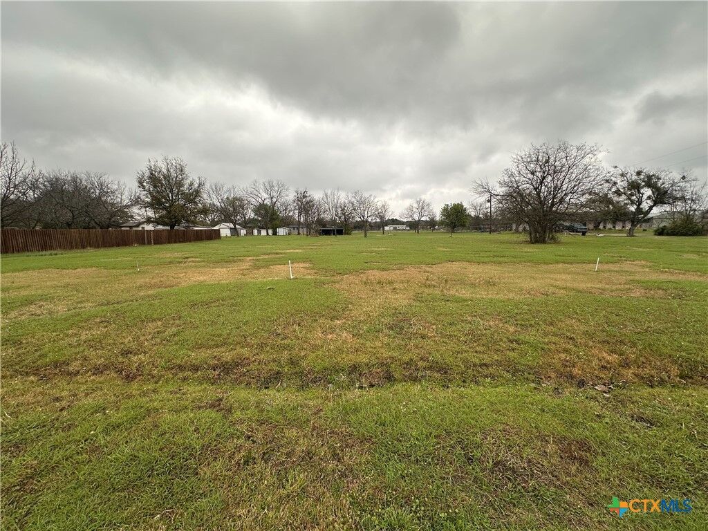 Property Photo:  4007 Whitmire Lane  TX 76543 