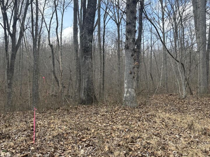 Property Photo: Lot 161 Quail Lane TN 37327