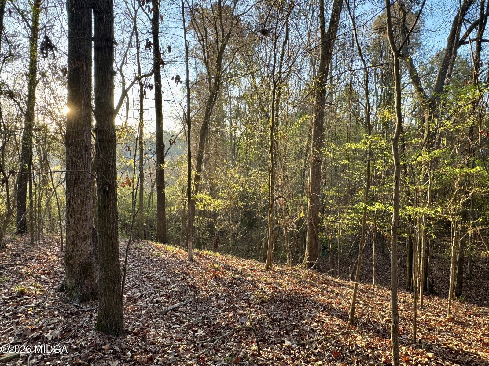 Property Photo:  1978 Wood Valley Road  GA 31211 