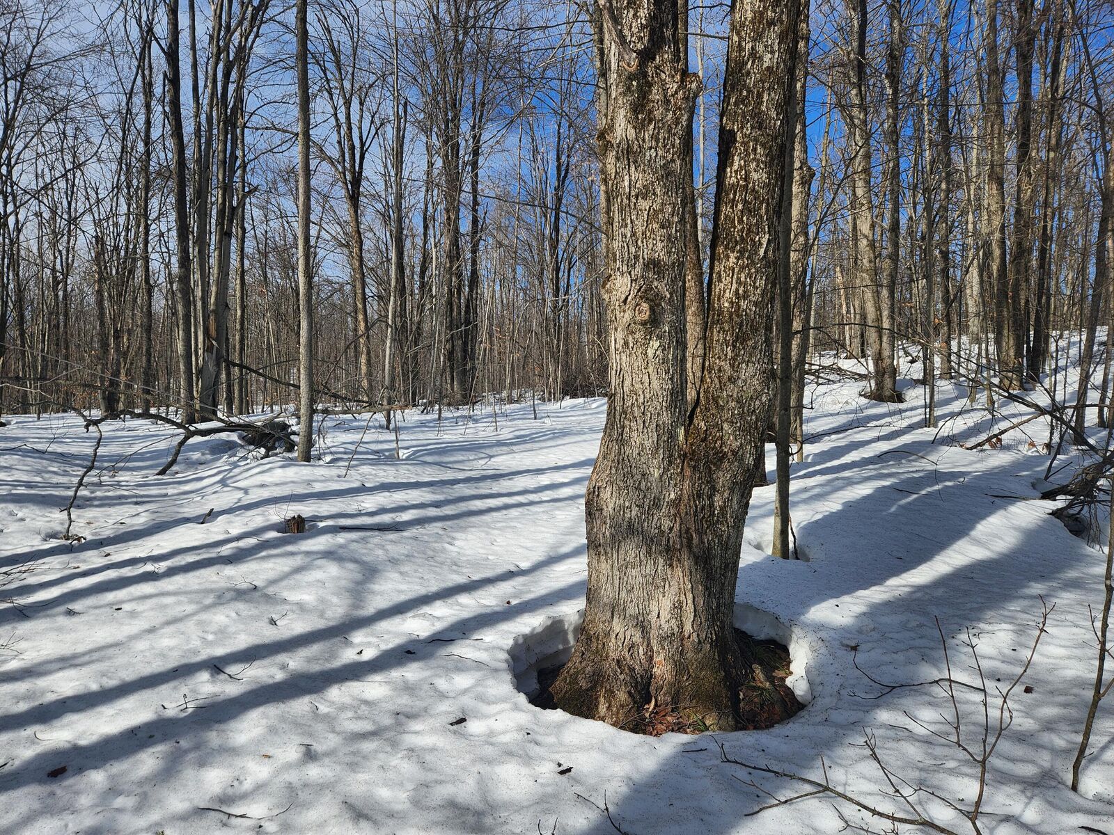 Property Photo:  Valleyridge Circle  MI 49611 