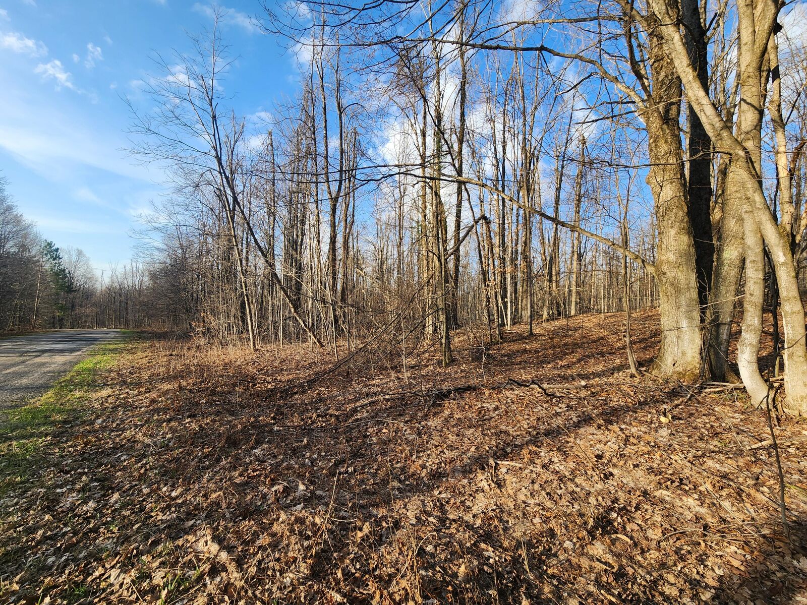 Property Photo: Valleyridge Circle MI 49611