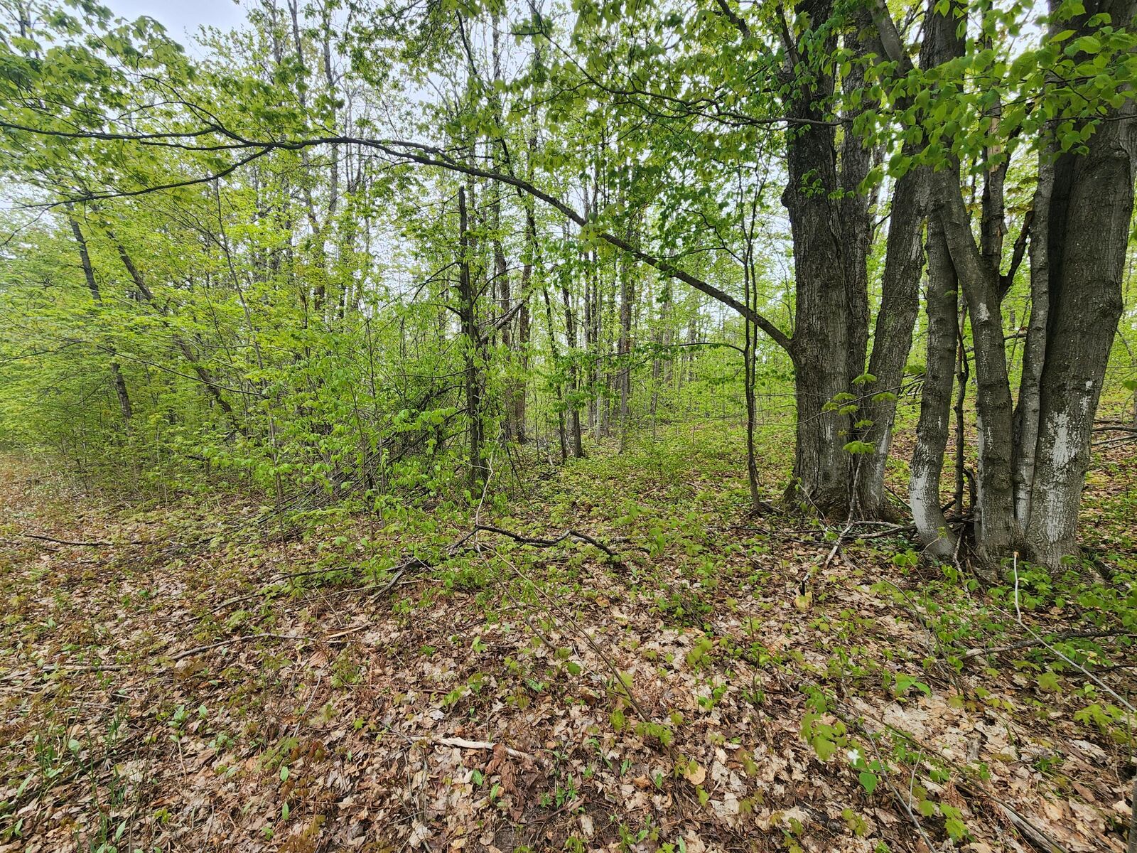 Property Photo: Valleyridge Circle MI 49611