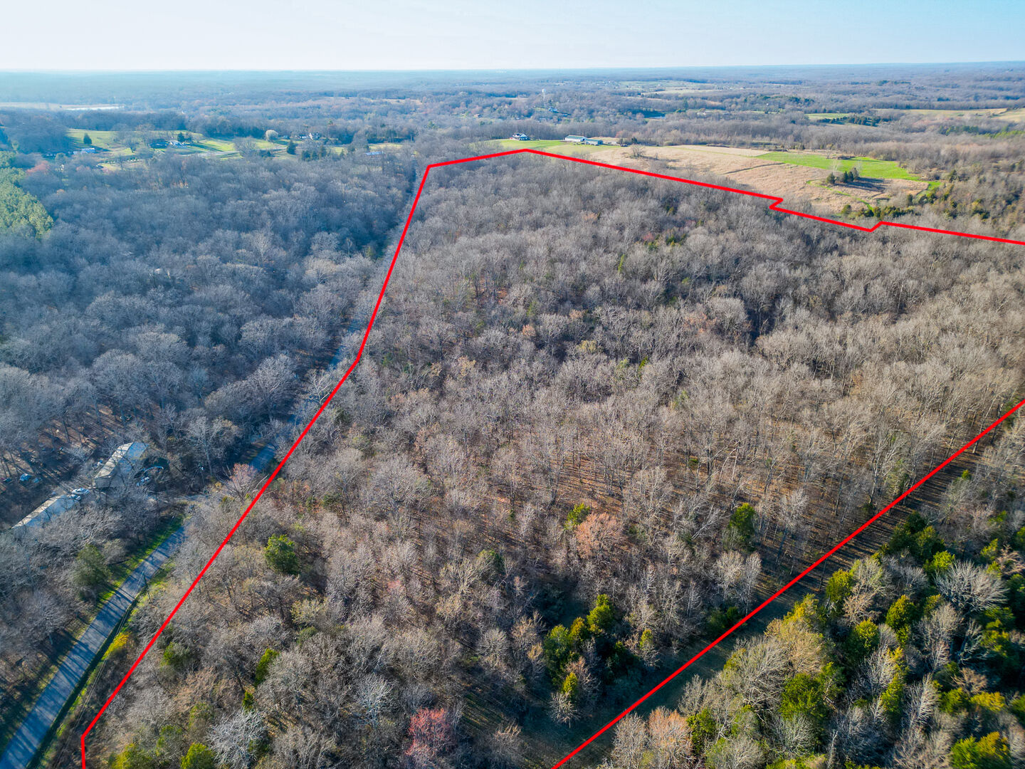 Property Photo: 000 Belville Road IL 62967