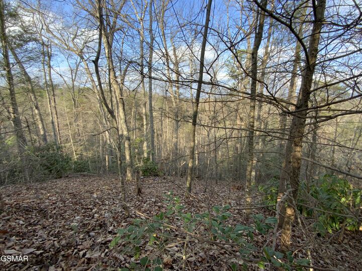 Property Photo:  - Cole Lane Off  TN 37738 