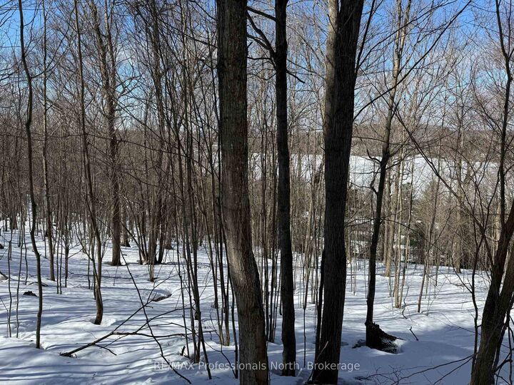 22 Walpole Street W — photo 1
