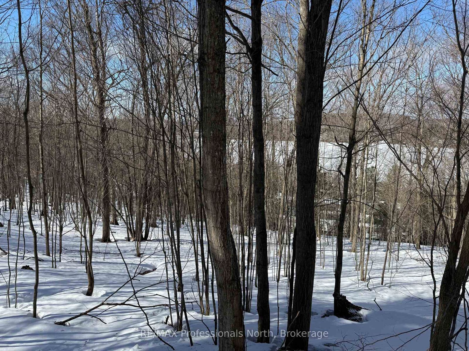 Property Photo:  22 Walpole Street W  ON P1H 1V3 