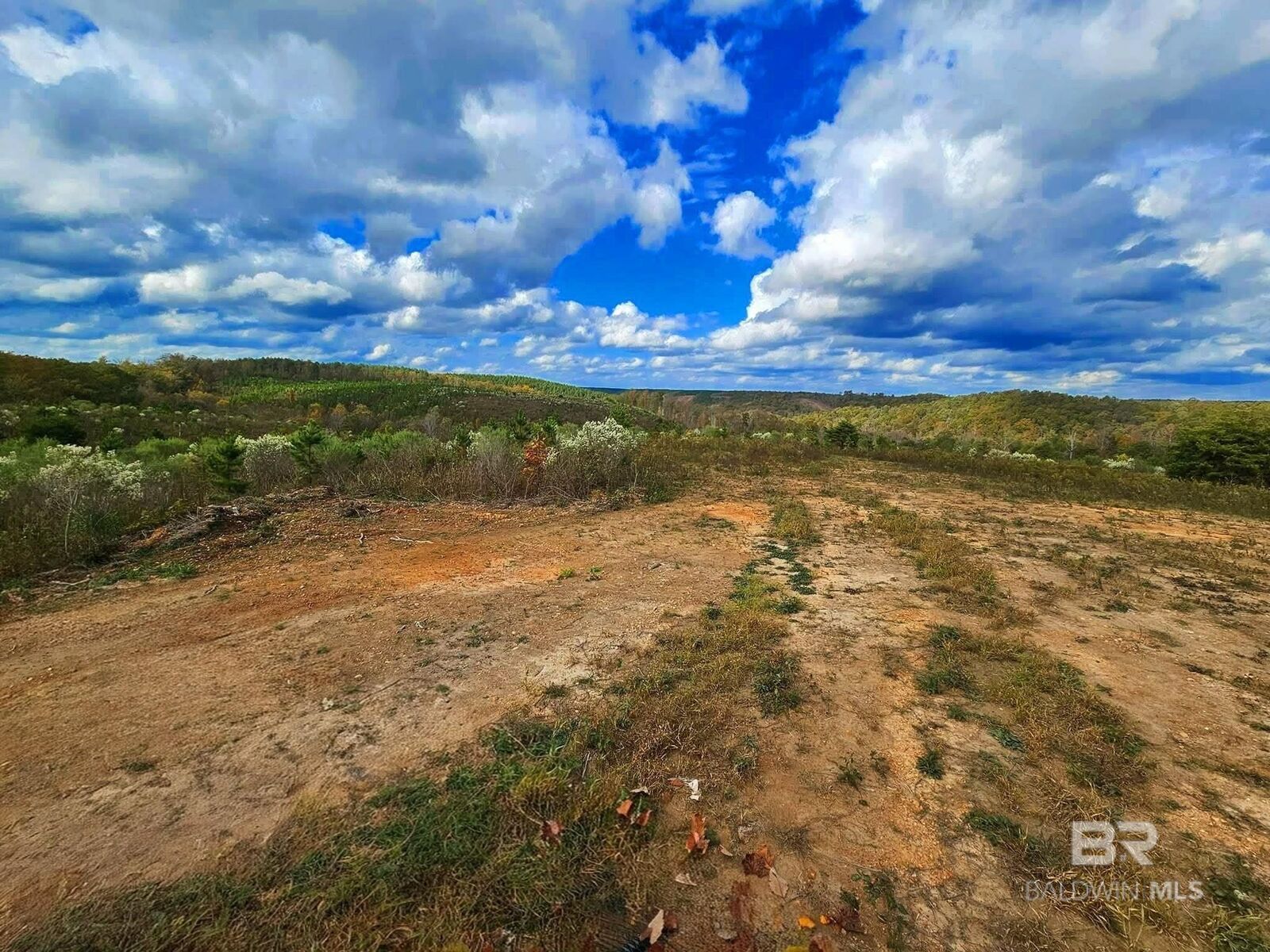 Property Photo:  0 County Road 79  AL 36577 