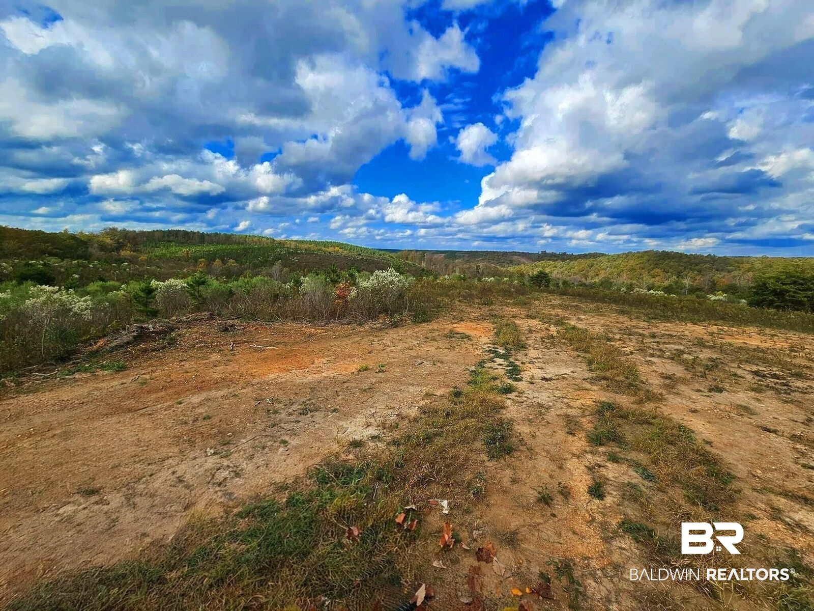 Property Photo: 0 County Road 79 AL 36577