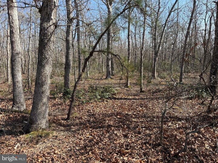 Property Photo:  0 Cedar Bridge Rd  NJ 08005 