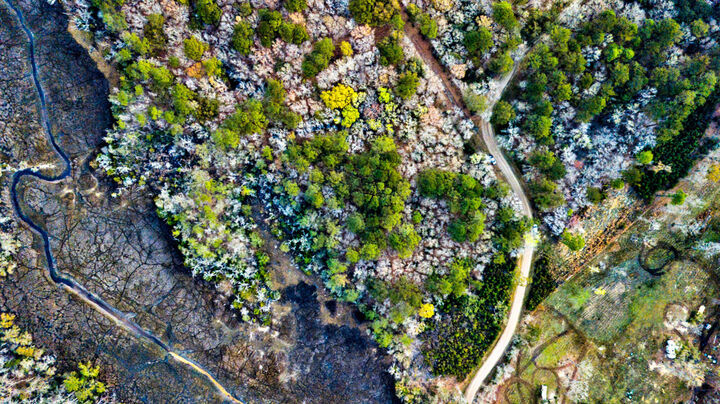 Property Photo: 0 Cooke Road Lot 2 SC 29455