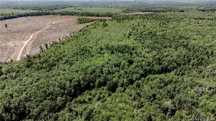 Property Photo:  Vacant Lot Ch NW Aldouane River Rd  NB E4W 0A8 
