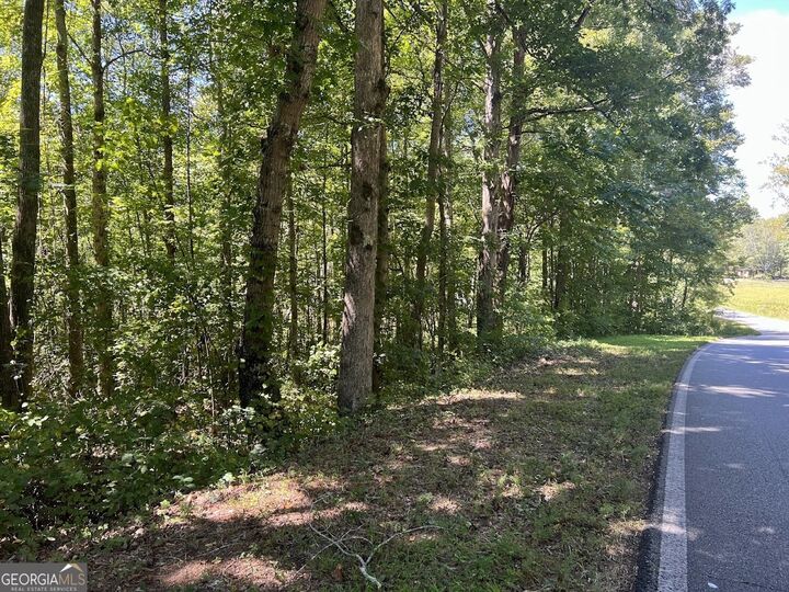 Property Photo: 0 Old Draketown Trail (5.62 Ac) GA 30179