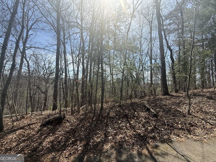 Property Photo:  Tract 3A Big View Lane  GA 30525 