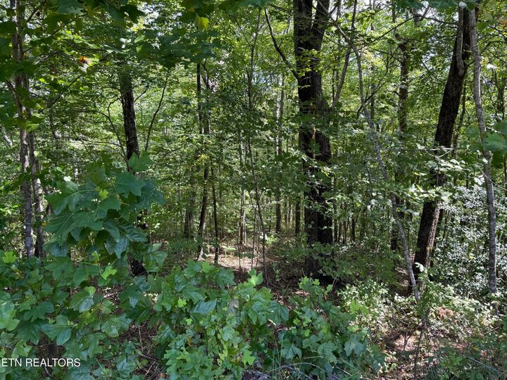 Property Photo:  538 Pine Hill Cemetery Rd  TN 37397 