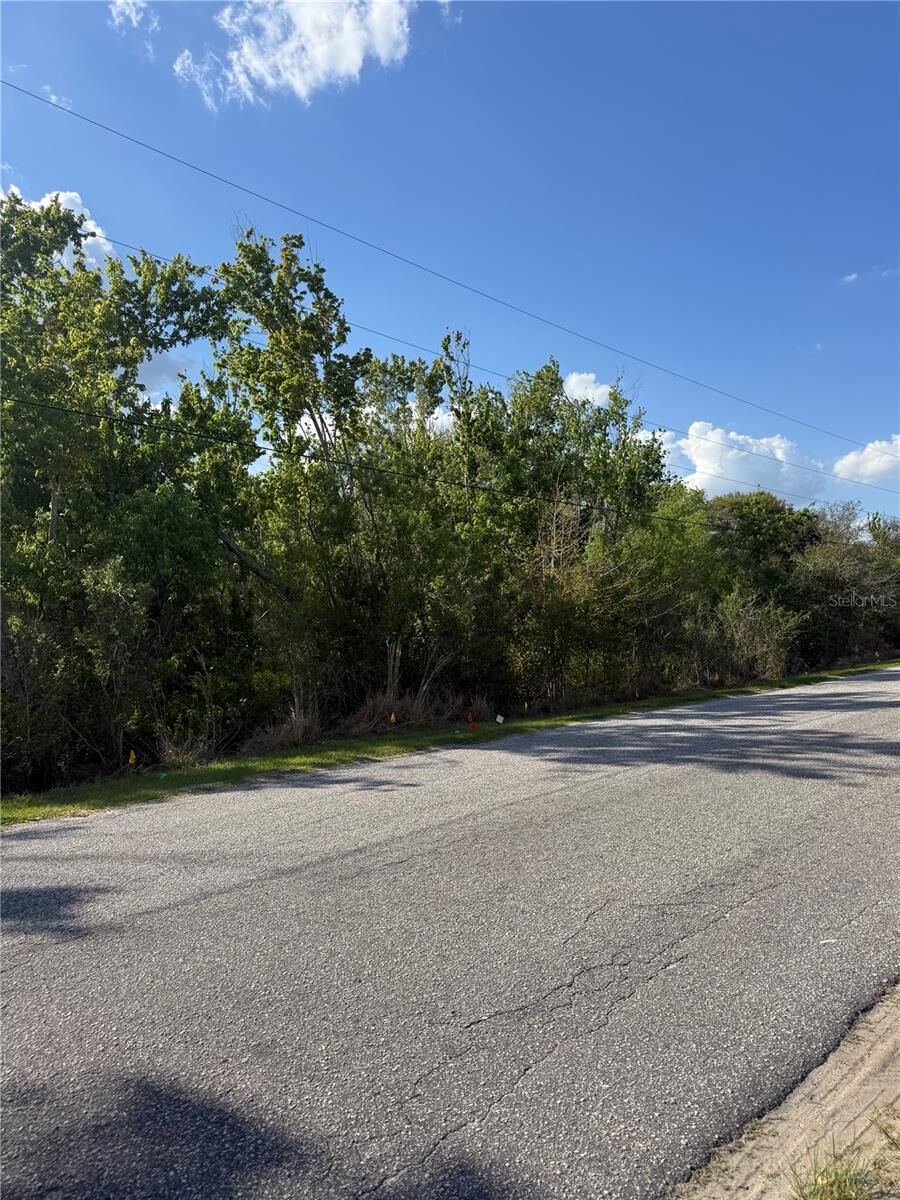 Property Photo:  Gadson Street  FL 34736 