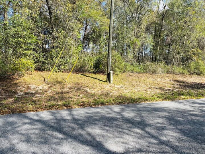 Property Photo:  0 SW 19th Ave Road 3  FL 34473 