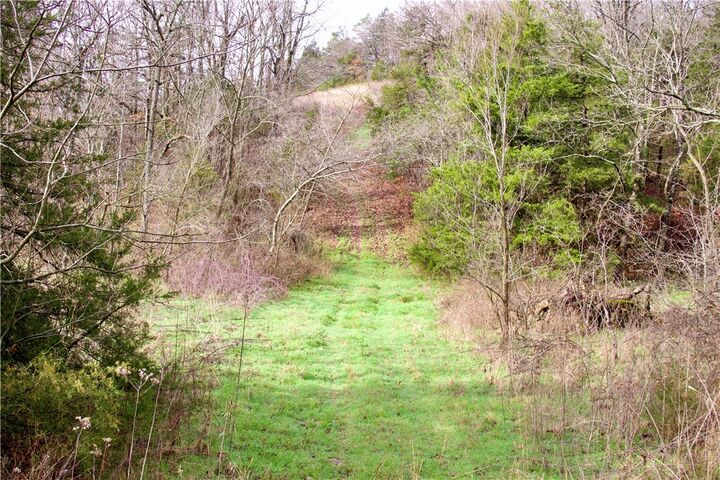 Property Photo:  0000 Hwy 21 S  AR 72616 